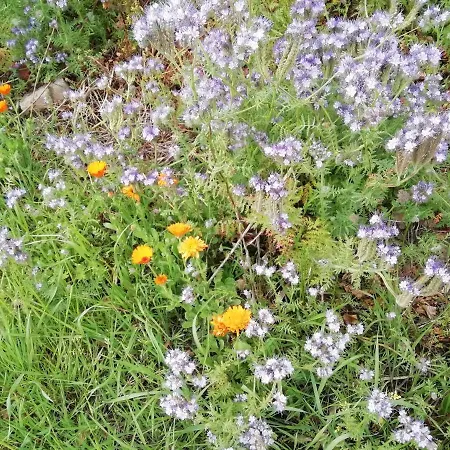 Kerstenhof Appartement