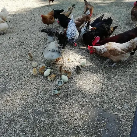 Kerstenhof * Willich