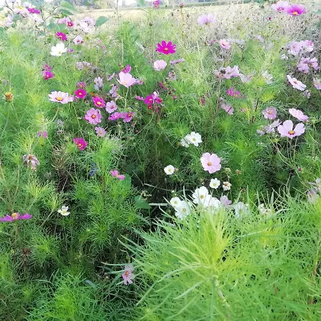 Kerstenhof 아파트 *