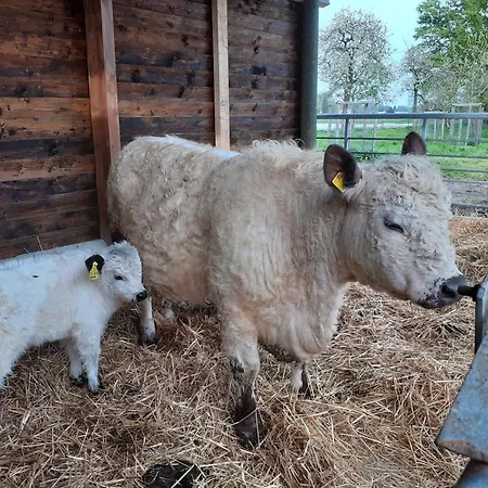 Apartamento Kerstenhof