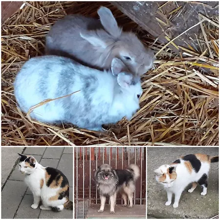 Kerstenhof * Willich