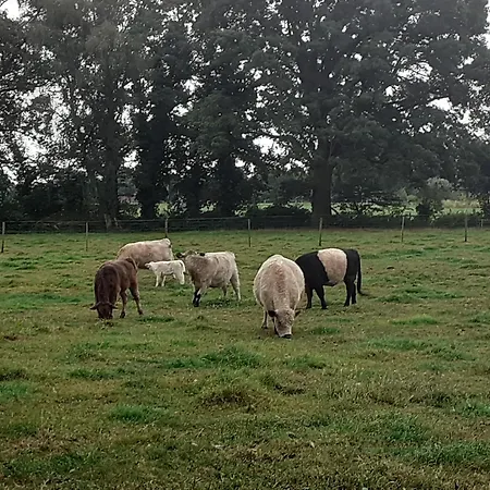 Kerstenhof Appartement