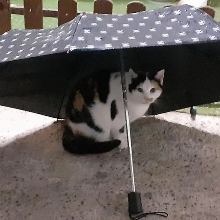 Kerstenhof Apartamento *