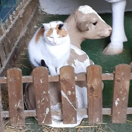 아파트 Kerstenhof