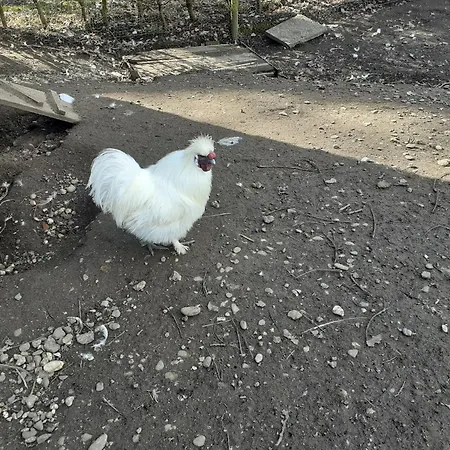 Appartement Kerstenhof Willich