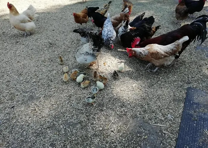 Kerstenhof * Willich