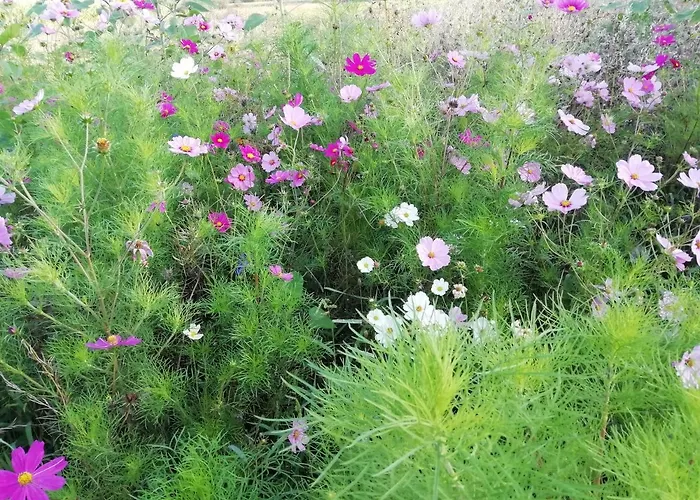 Kerstenhof Apartament *