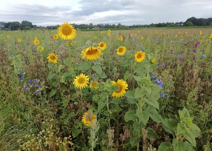 Apartament Kerstenhof *