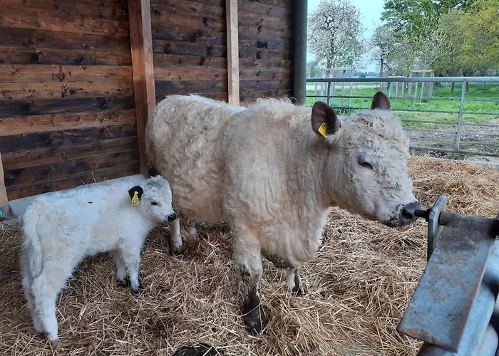 Apartament Kerstenhof