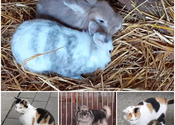 Kerstenhof * Willich