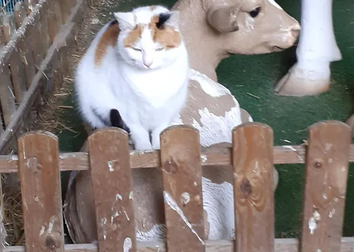 Apartament Kerstenhof