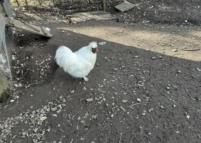 Apartament Kerstenhof Willich