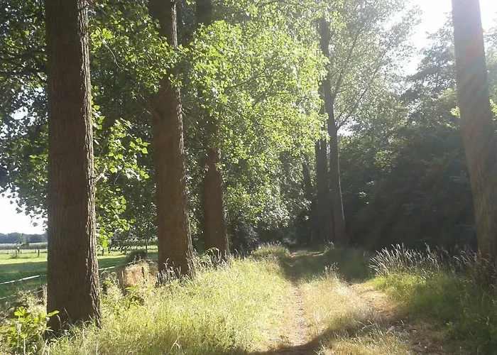 Kerstenhof فيليتش